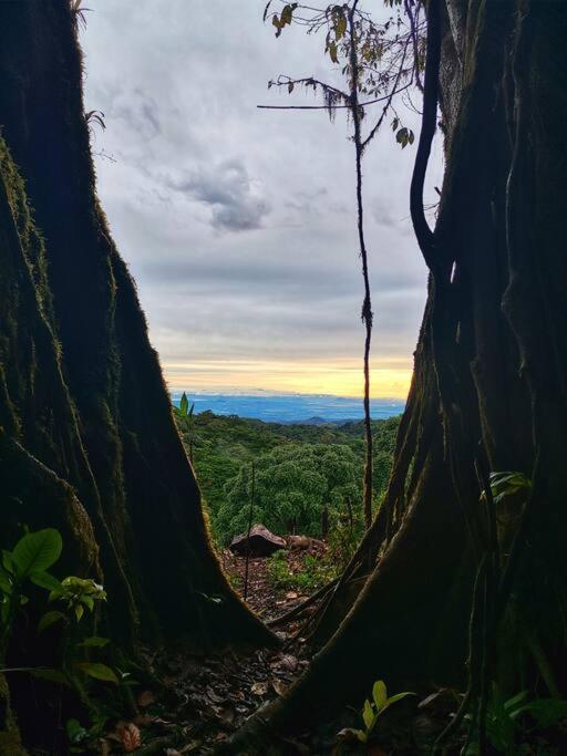 Casa Del Arbol Villa Monteverde Luaran gambar