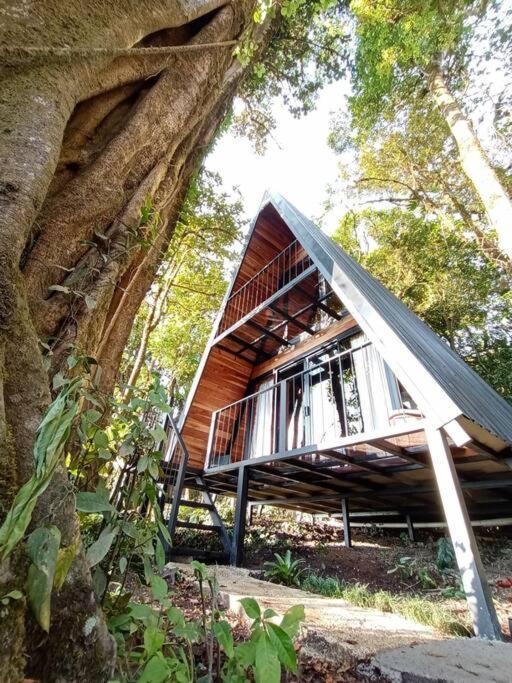 Casa Del Arbol Villa Monteverde Luaran gambar